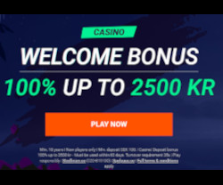 Velkomstbonus op til 1.000 kr. i kontanter Casino bonus - 100% optil 1.000 kr